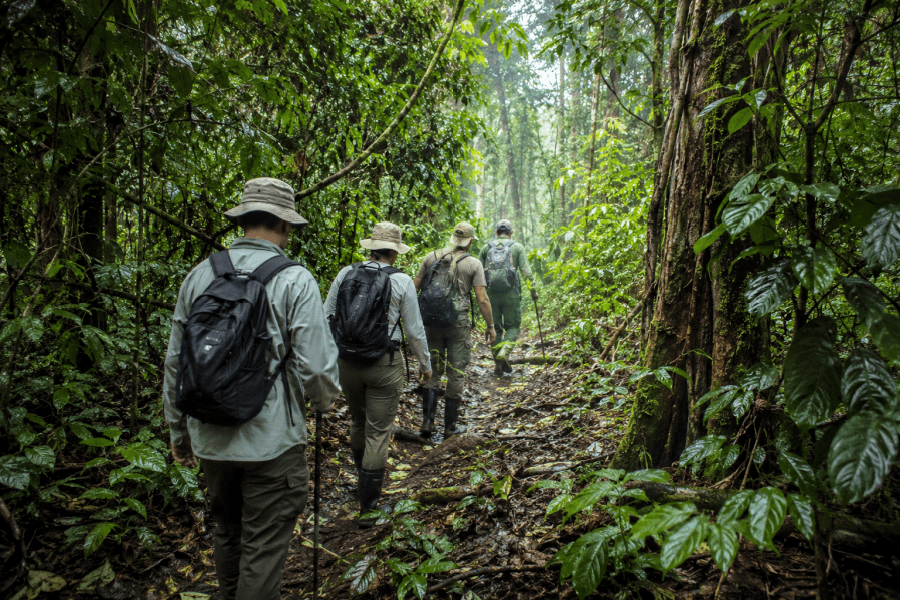 image_rainforest_safaris_dr_congo_afoyo_safaris