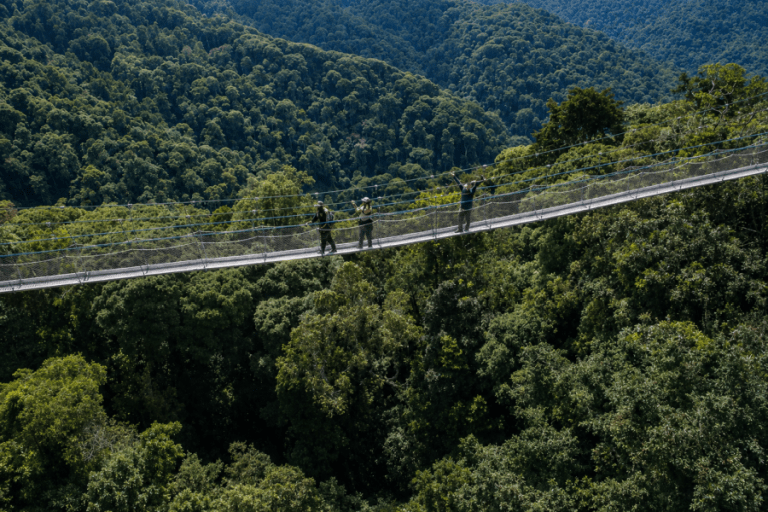 Nyungwe Forest National Park