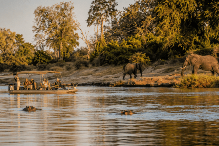 image_zambezi_river_afoyo_safaris