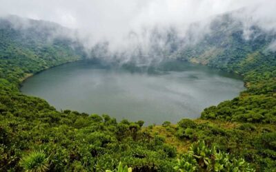4 Day Rwanda Safari – Akagera & Volcanoes Gorilla Trekking