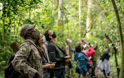 12-Day Uganda Gorilla, Wildlife & Primate Safari