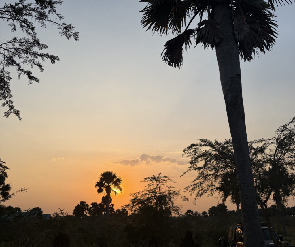 Tangi Elephant Camp