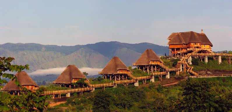 Kibale Forest National Park