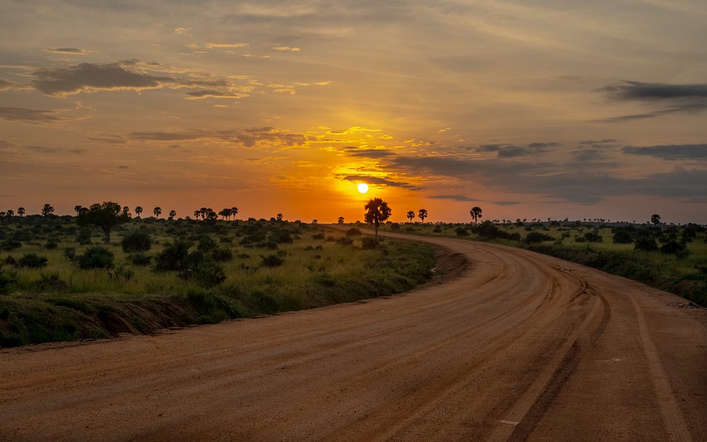 Tangi Elephant Camp Uganda