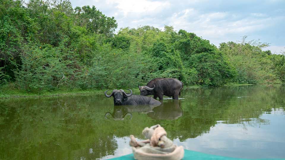 Things to do in Murchison Falls National Park