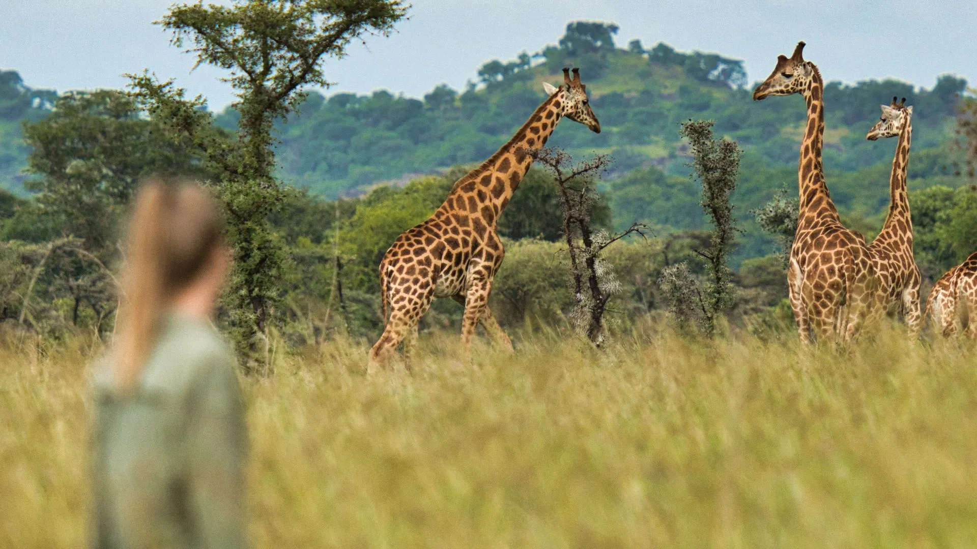 Pian Upe Wildlife Reserve