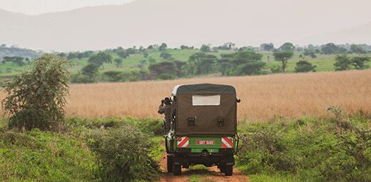 Safari vehicle driving through tall savannah grass
